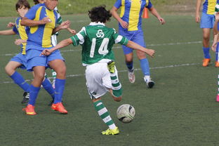 华体会体育网址-中国足球高密度传控战术回合成功统计，中国足球高密度传控战术回合成功统计